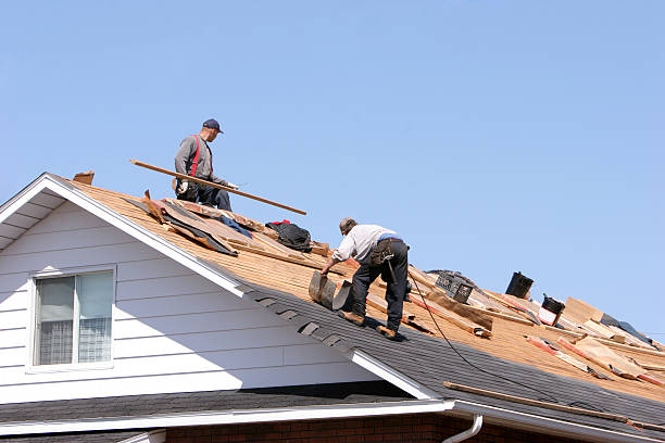 Best Asphalt Shingle Roofing  in North Logan, UT